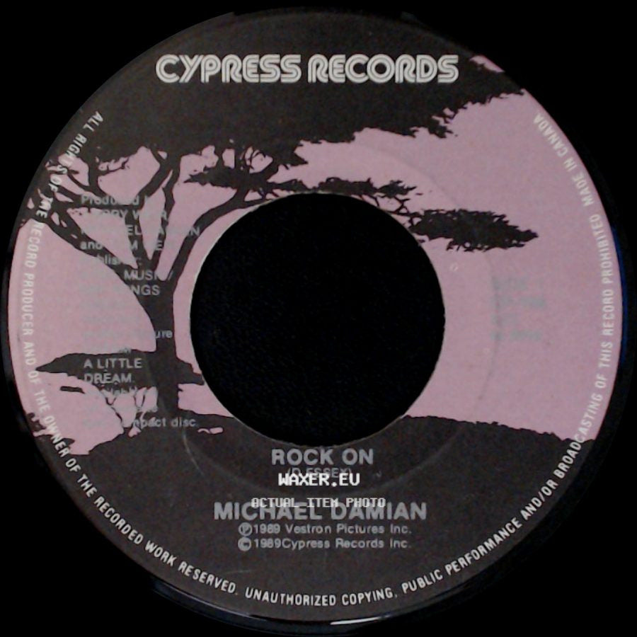 Michael Damian - Rock On (D Essex) / Rock On (Dance Mix) side A