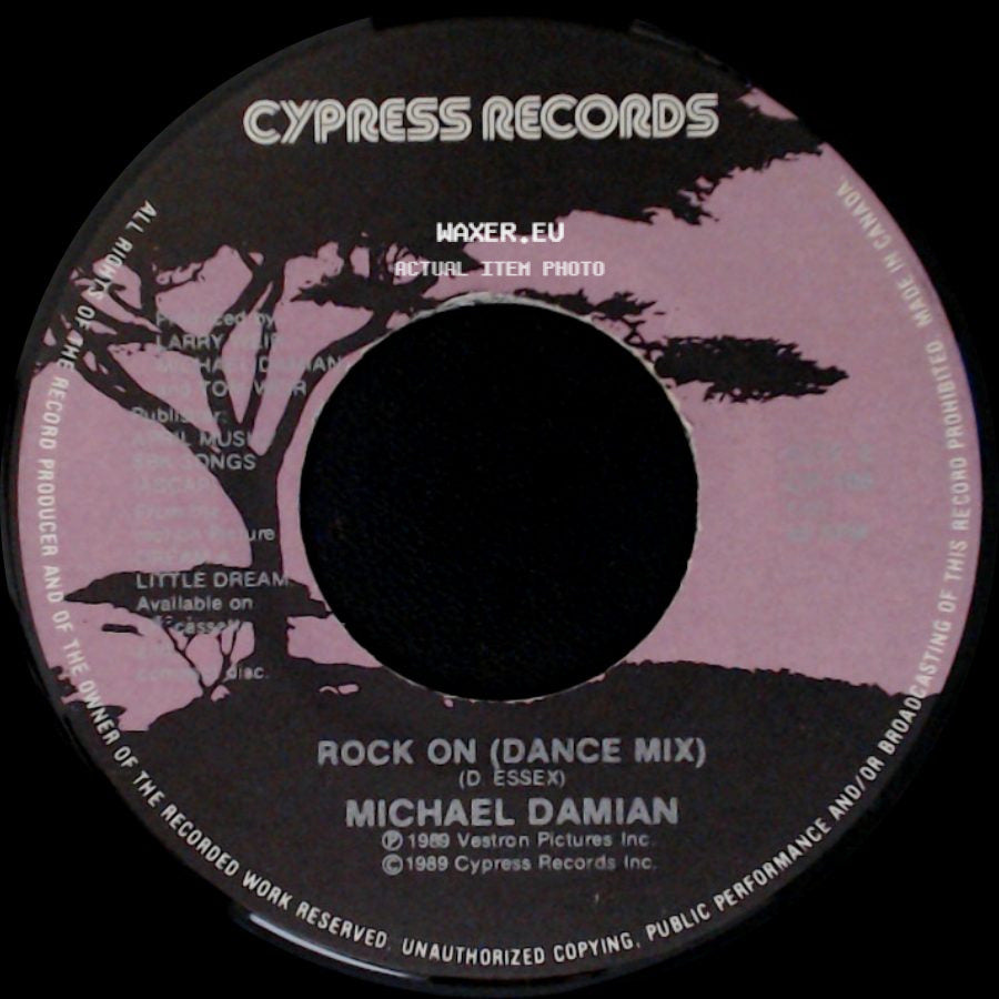 Michael Damian - Rock On (D Essex) / Rock On (Dance Mix) side B