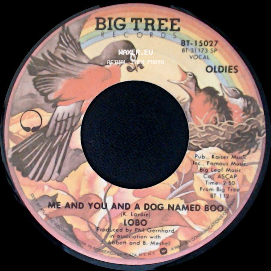 Lobo - Me And You And A Dog Named Boo / She Didn't Do Magic side A