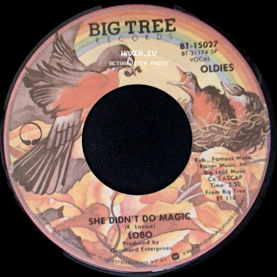 Lobo - Me And You And A Dog Named Boo / She Didn't Do Magic side B