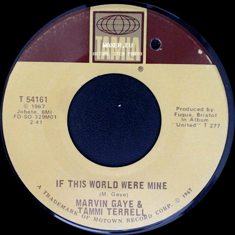 Marvin Gaye & Tammi Terrell - If This World Were Mine / If I Could Build My Whole World Around You side A