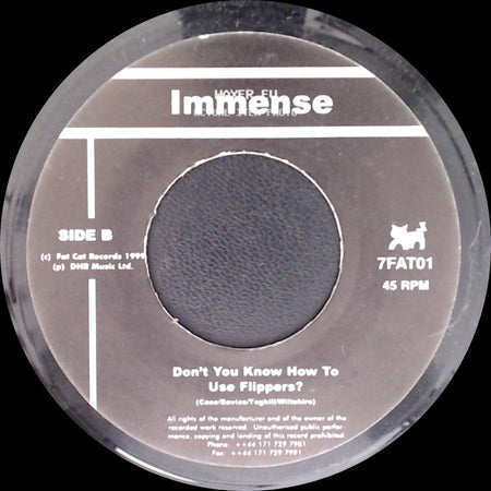 Immense - Death To The Gremlins / Don't You Know How To Use Flippers? side B