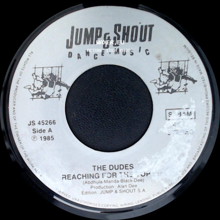 The Dudes - Reaching For The Top / Reaching For The Top side A