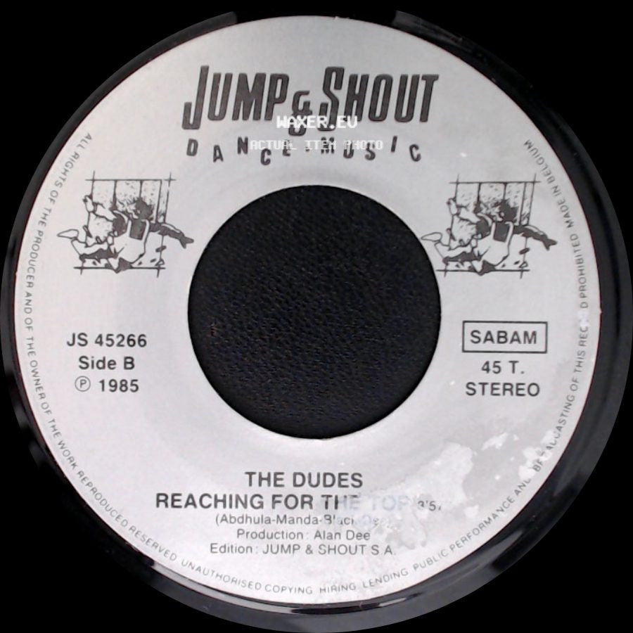 The Dudes - Reaching For The Top / Reaching For The Top side B
