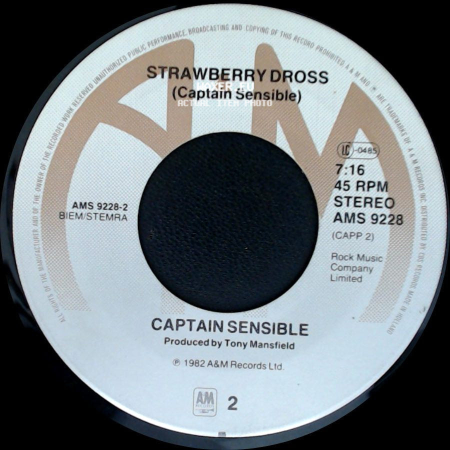 Captain Sensible - Wot / Strawberry Dross side B