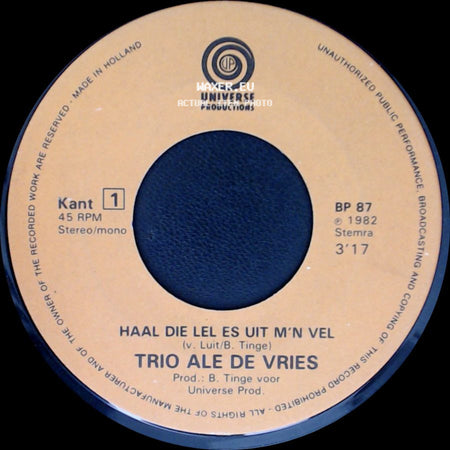 Trio Ale De Vries - Ik Zal Nooit Meer Dronken Wezen / Haal Die Lel Es Uit M'n Vel side B