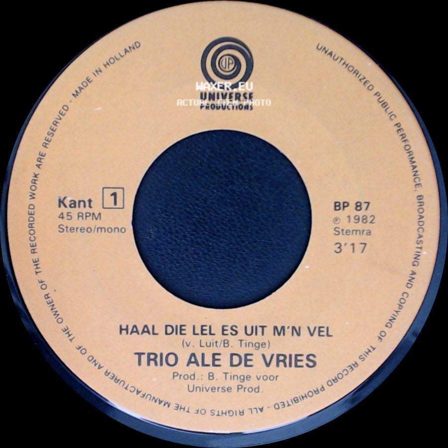 Trio Ale De Vries - Ik Zal Nooit Meer Dronken Wezen / Haal Die Lel Es Uit M'n Vel side B