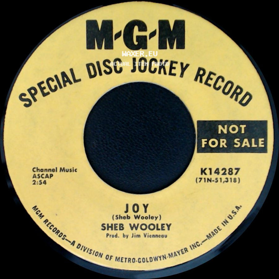 Sheb Wooley - Goodbye Wabash Cannonball / Joy side B