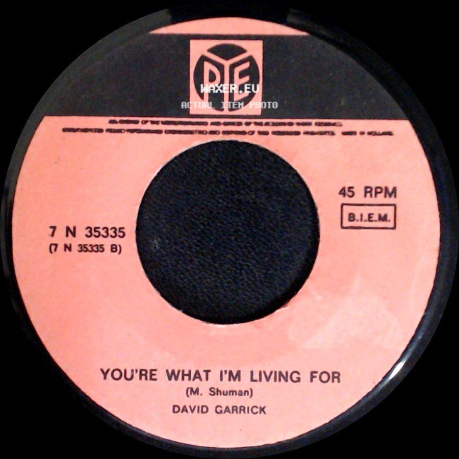 David Garrick - Dear Mrs. Applebee / You're What I'm Living For side B
