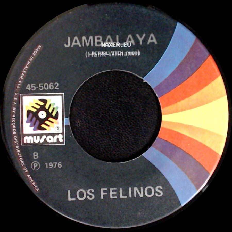 Los Felinos - Jambalaya / Tu Sabes side A