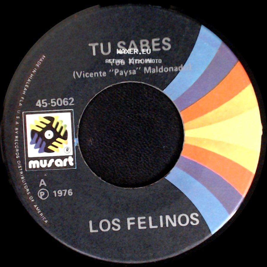 Los Felinos - Jambalaya / Tu Sabes side B