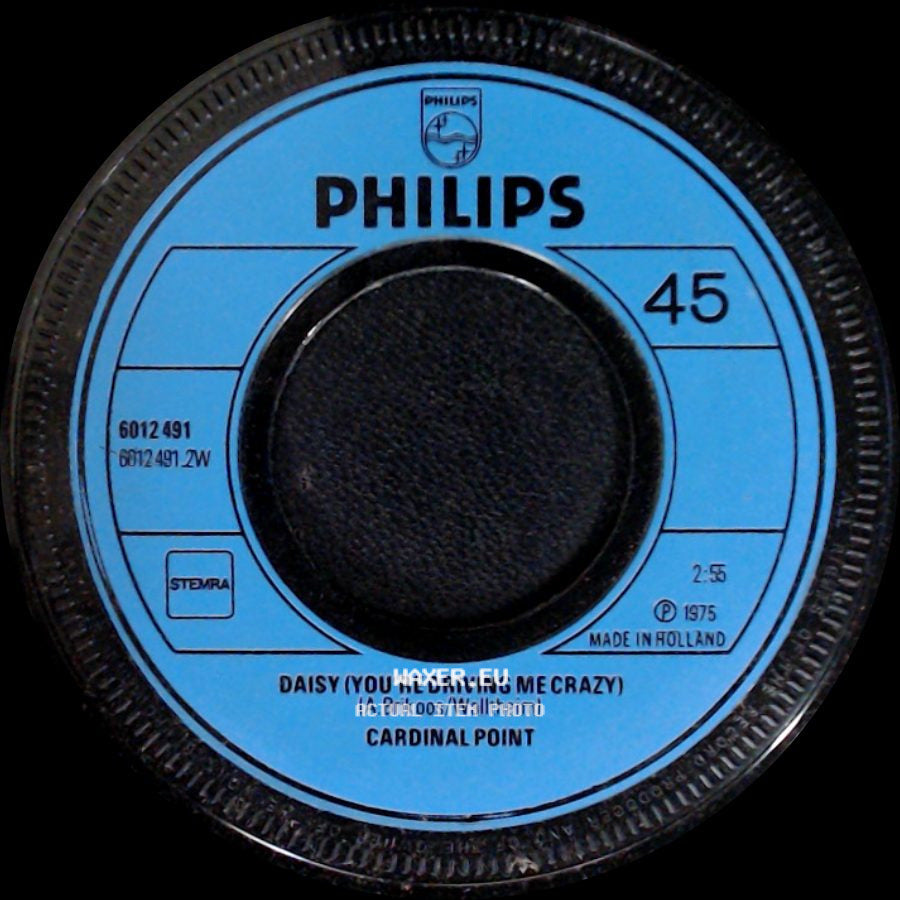 Cardinal Point - Arrivederci Goodbye / Daisy (You're Driving Me Crazy) side B