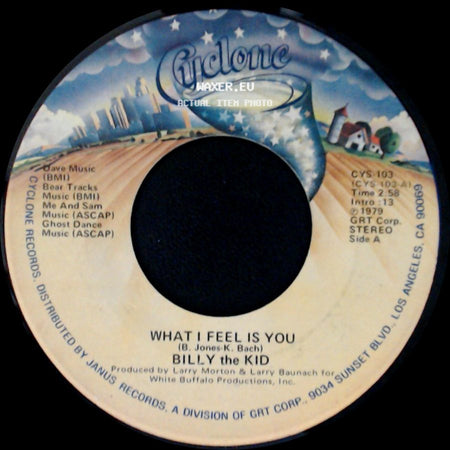 Billy The Kid - What I Feel Is You / Songpainter side A