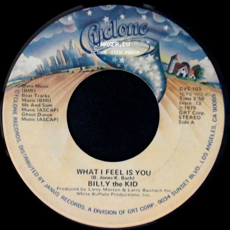 Billy The Kid - What I Feel Is You / Songpainter side A