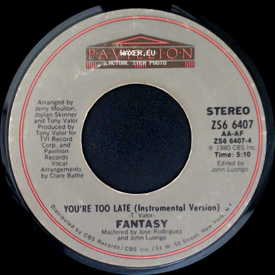 Fantasy - You're Too Late (Instrumental Version) / You're Too Late side A