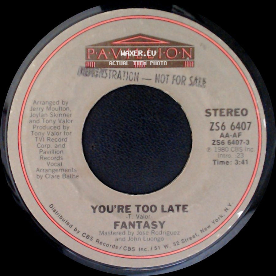 Fantasy - You're Too Late (Instrumental Version) / You're Too Late side B