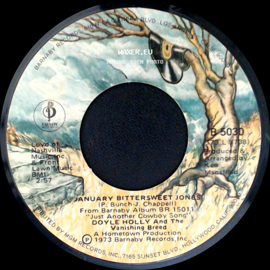 Doyle Holly And The Vanishing Breed - Lord How Long Has This Been Going On / January Bittersweet Jones side B