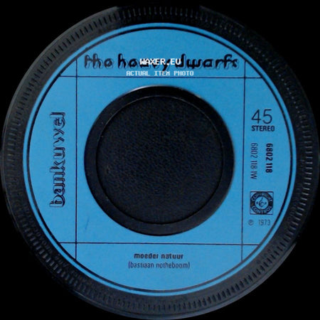 The Heavy Dwarfs - Moeder Natuur (Bastiaan Notheboom) / Joanna side A