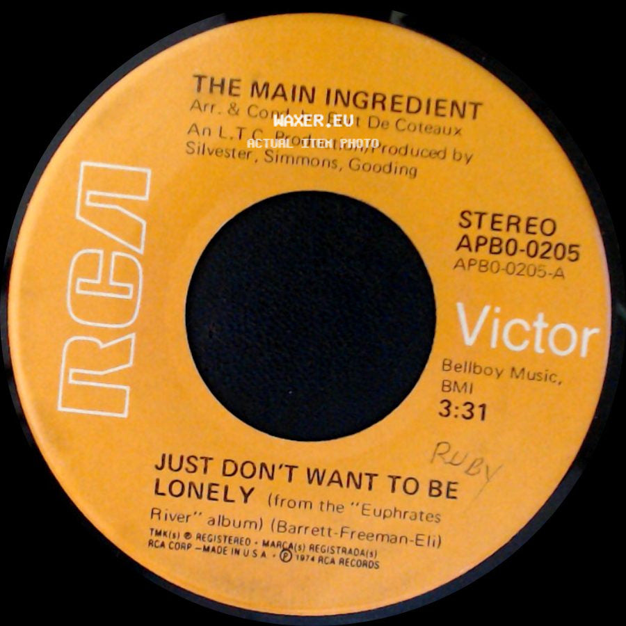 The Main Ingredient - Goodbye My Love / Just Don't Want To Be Lonely side B