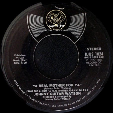 Johnny Guitar Watson - Nothing Left To Be Desired / A Real Mother For Ya side B