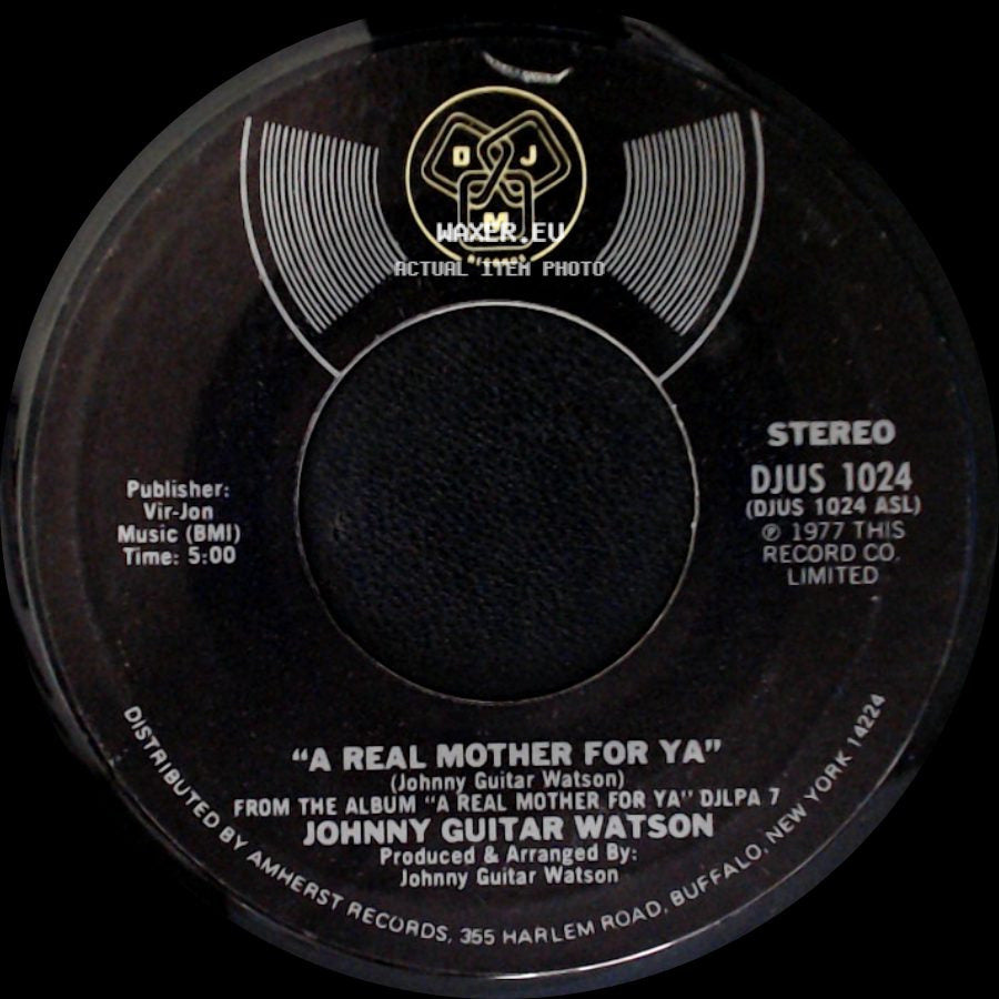 Johnny Guitar Watson - Nothing Left To Be Desired / A Real Mother For Ya side B
