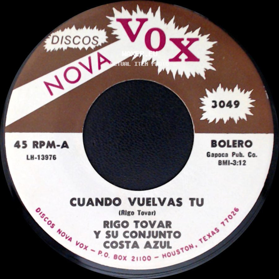 Rigo Tovar Y Su Conjunto Costa Azul - Cuando Vuelvas Tu / Pajaro Chohui side A