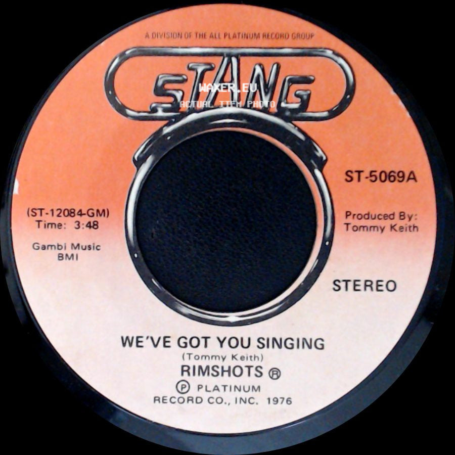Rimshots - (You Sing) We've Got You Singing / We've Got You Singing side B