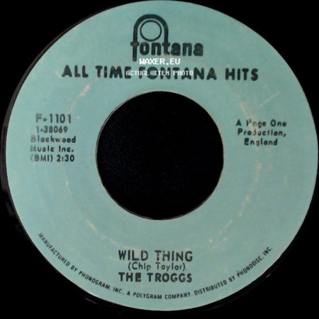 The Troggs - With A Girl Like You / Wild Thing side B