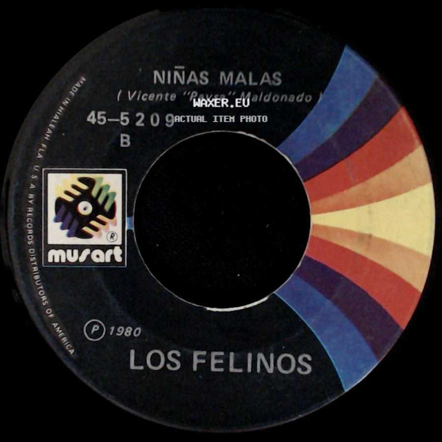 Los Felinos - El Pescado Nadador / Niñas Malas side B