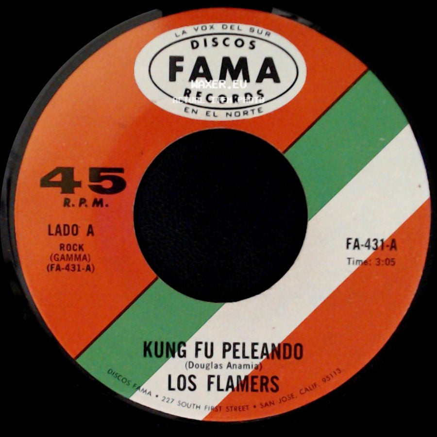 Los Flamers - Kung Fu Peleando / Tu Me Haces Sentir Bien side A