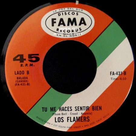 Los Flamers - Kung Fu Peleando / Tu Me Haces Sentir Bien side B