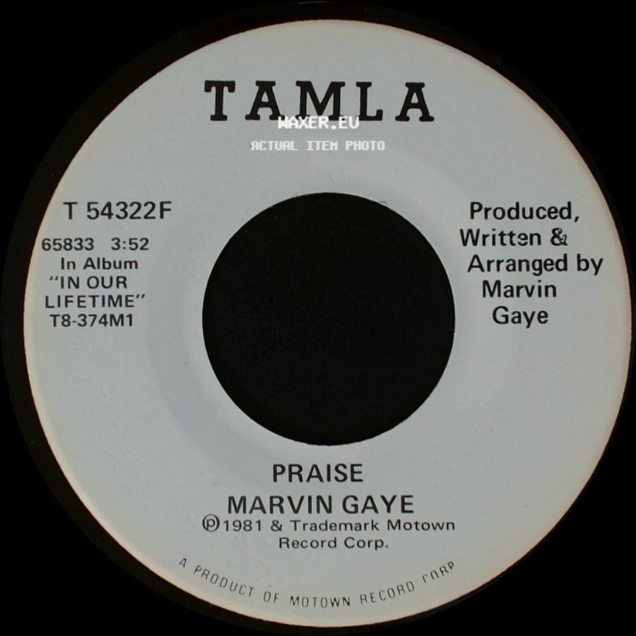 Marvin Gaye - Praise / Praise side B