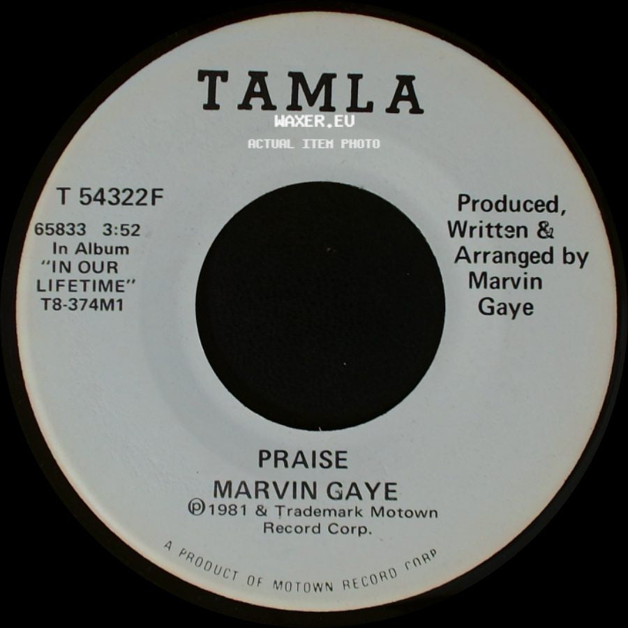 Marvin Gaye - Praise / Praise side B