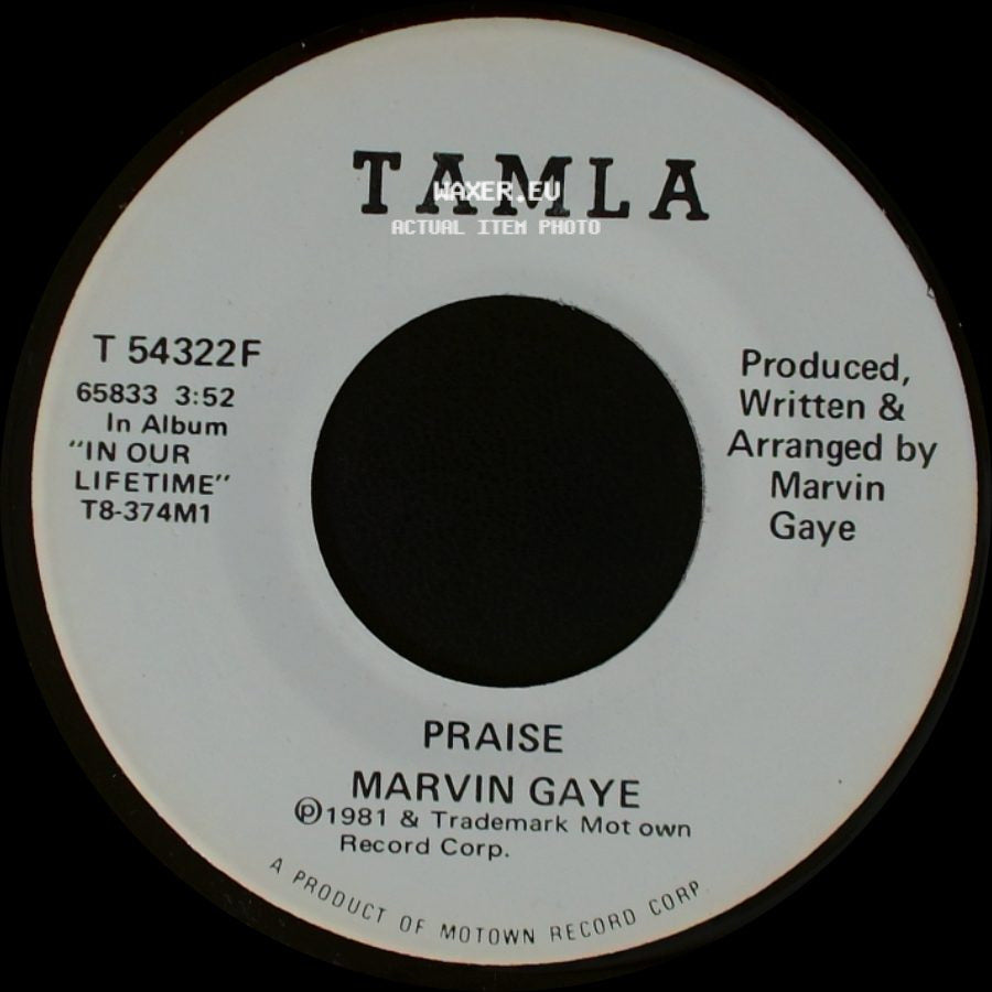 Marvin Gaye - Praise / Praise side B