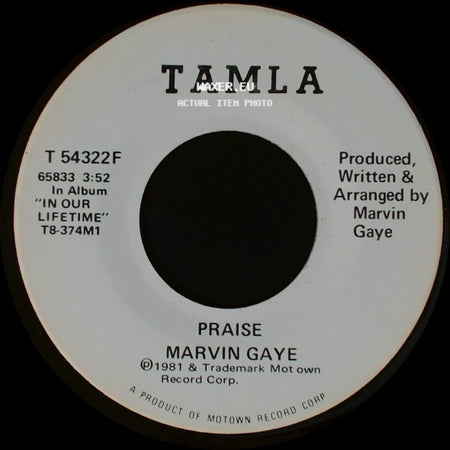 Marvin Gaye - Praise / Praise side A