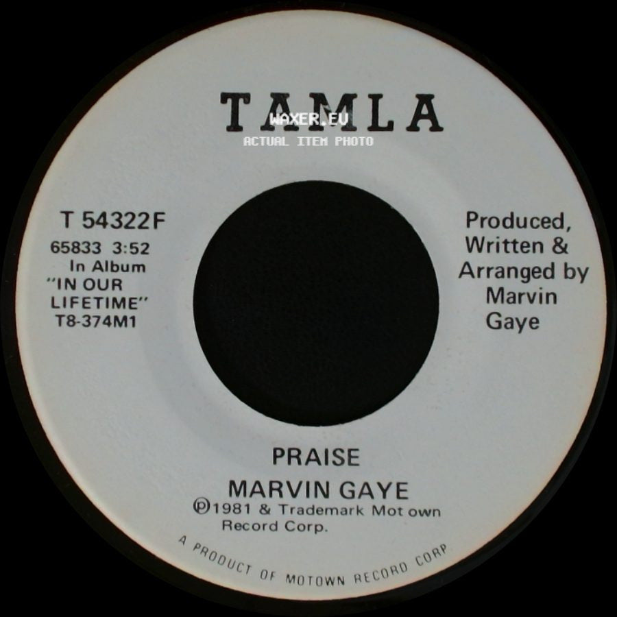 Marvin Gaye - Praise / Praise side B