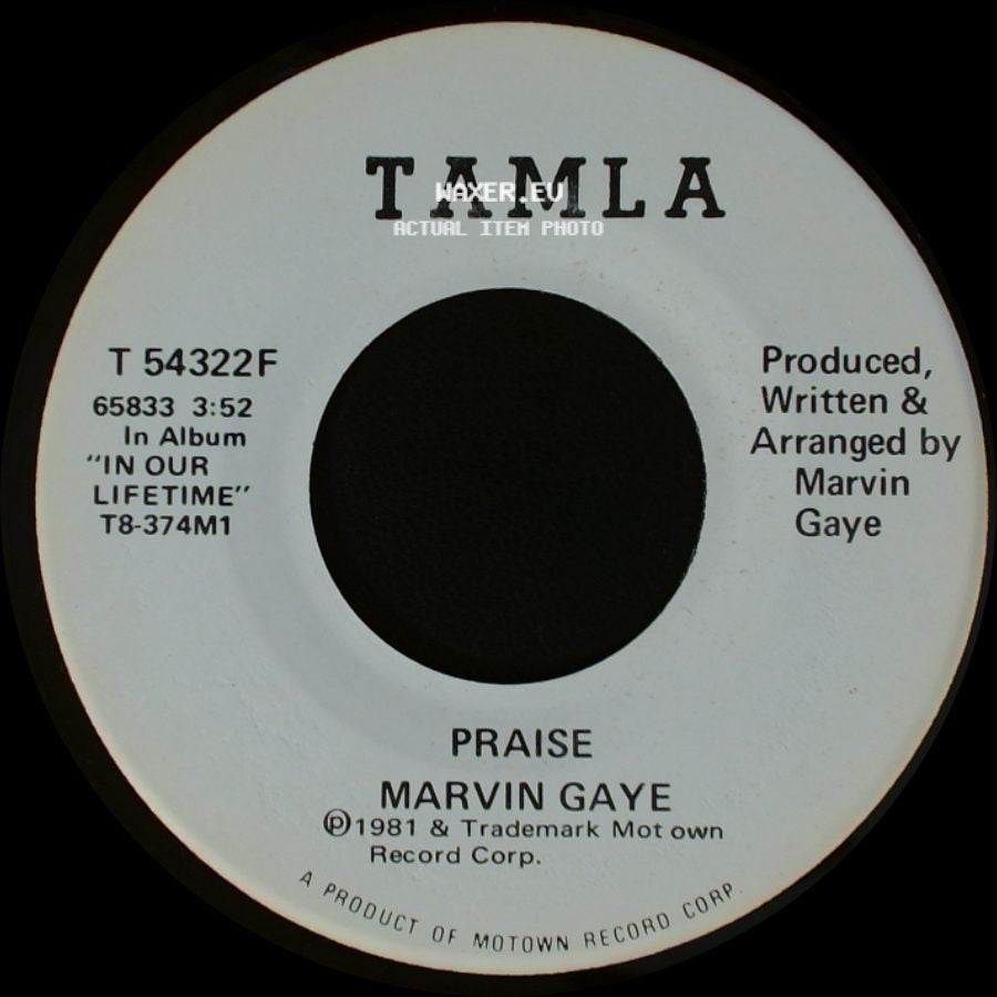 Marvin Gaye - Praise / Praise side B