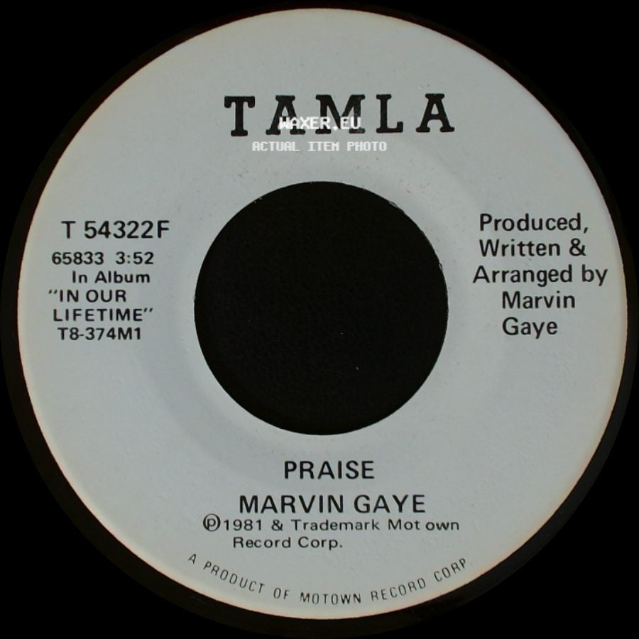 Marvin Gaye - Praise / Praise side B
