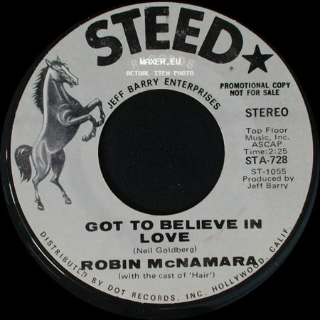 Robin Mcnamara - Got To Believe In Love / Aren't You Thinking Of Me side A