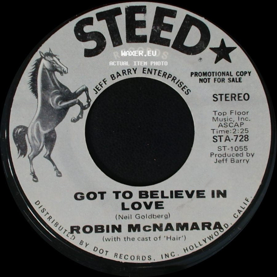 Robin Mcnamara - Got To Believe In Love / Aren't You Thinking Of Me side A