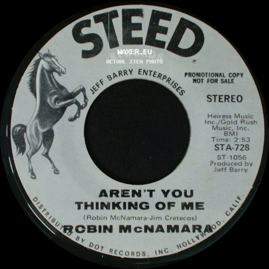 Robin Mcnamara - Got To Believe In Love / Aren't You Thinking Of Me side B