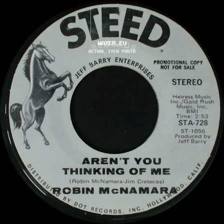 Robin Mcnamara - Got To Believe In Love / Aren't You Thinking Of Me side B