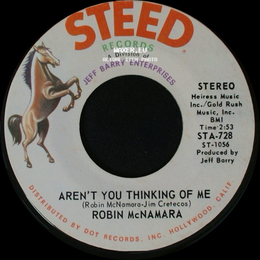 Robin Mcnamara - Aren't You Thinking Of Me / Got To Believe In Love side A