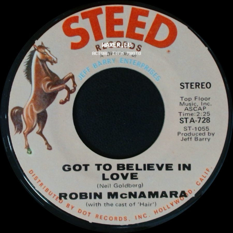 Robin Mcnamara - Got To Believe In Love / Aren't You Thinking Of Me side A