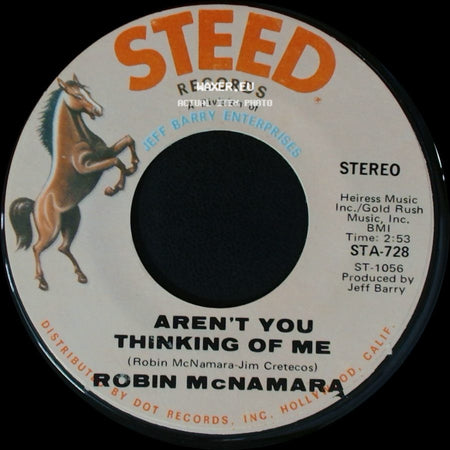 Robin Mcnamara - Got To Believe In Love / Aren't You Thinking Of Me side B