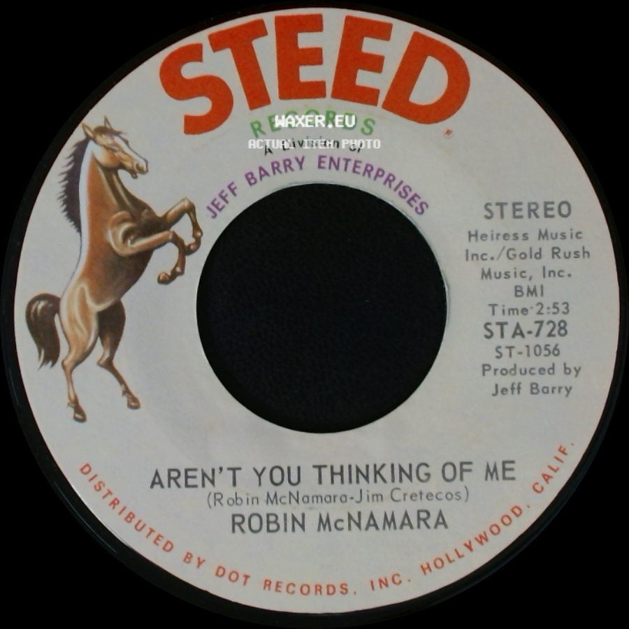 Robin Mcnamara - Aren't You Thinking Of Me / Got To Believe In Love side A