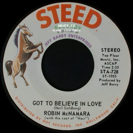 Robin Mcnamara - Aren't You Thinking Of Me / Got To Believe In Love side B