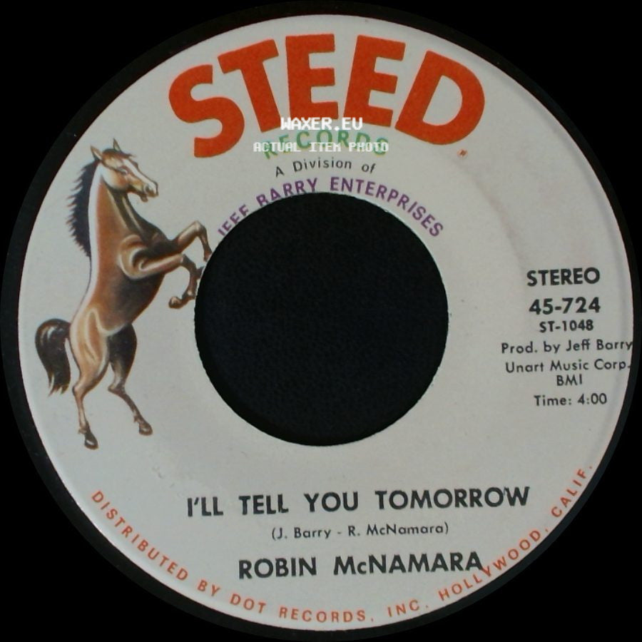 Robin Mcnamara - I'll Tell You Tomorrow / Lay A Little Lovin' On Me side A
