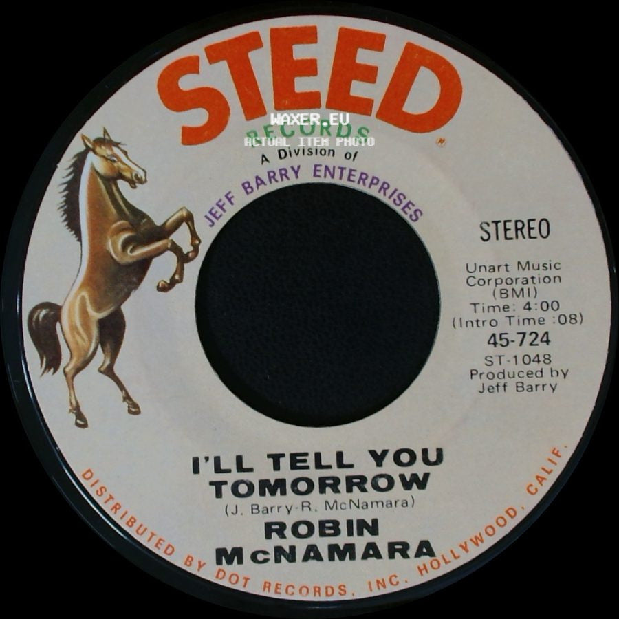 Robin Mcnamara - Lay A Little Lovin' On Me / I'll Tell You Tomorrow side B