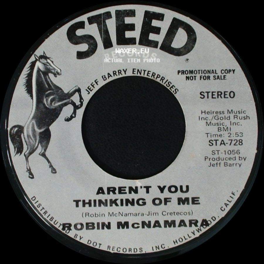 Robin Mcnamara / Robin Mcnamara (With The Cast Of 'hair') - Aren't You Thinking Of Me / Got To Believe In Love side A